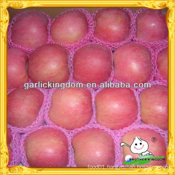 China red fuji apple fruit,2013 apple fuji price from origin